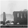 slides/Abbey Cross Fire.jpg newark abbey, newark priory,newark church service 2011,ethereal image, black and white,medieval,mist,sunrise,worshipers,church,surrey,send,ripley,wisley Abbey Cross Fire